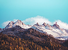 发现“jiuyou”的魅力——你的品质生活新选择