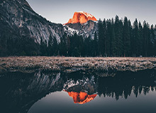 APP下载：开启数字生活的新入口，让每一天更高效